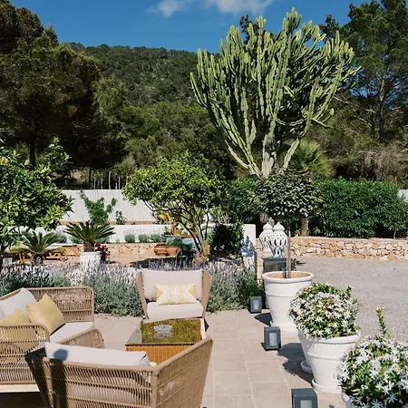Pep Gibert Ibiza Town