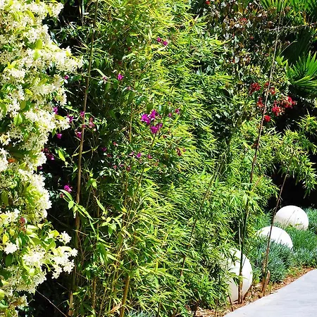 Ξενοδοχείο με διαμερίσματα B-llobet Sun & Confort 4*
