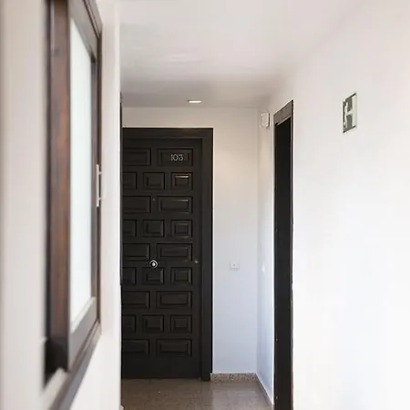 아파트 아파르타멘토스 리폴 이비자