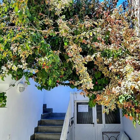 Costa Affittacamere Ibiza città