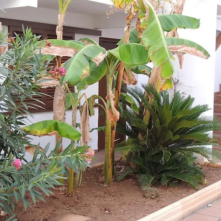 Sal Rossa * Ibiza Town