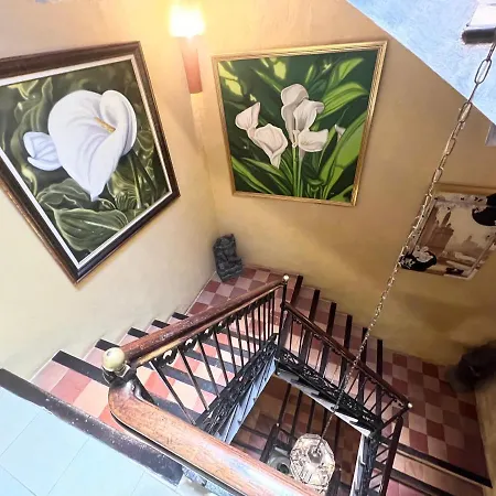 بيت ضيافة La Ventana