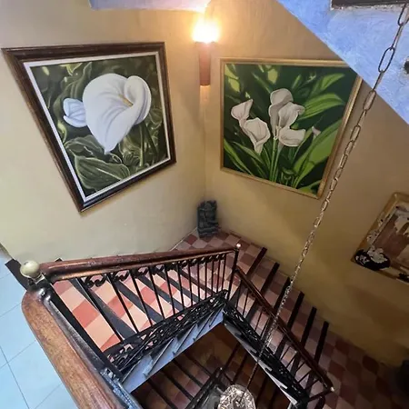 بيت ضيافة La Ventana