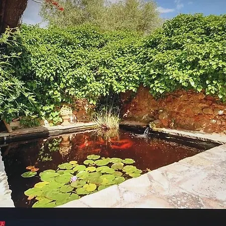 Authentic Ibicenco With Large Pool