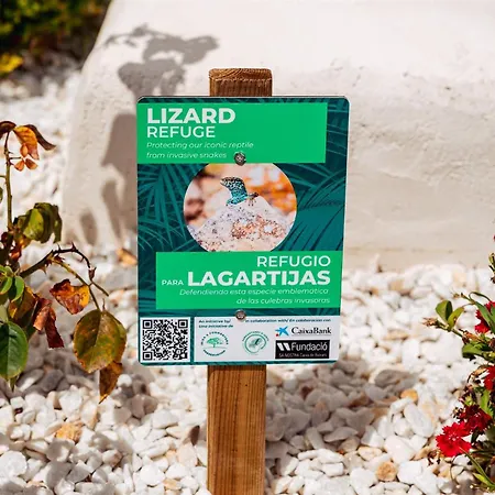 Hotel Simbad Ibiza&spa Ibiza città