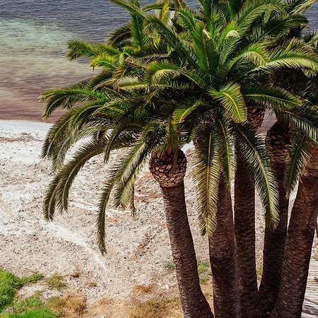 Simbad Ibiza&spa