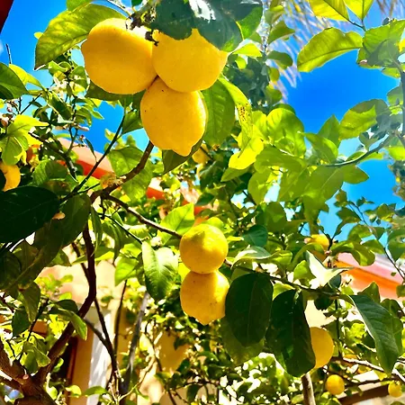 Casa Klod * Ibiza-stad