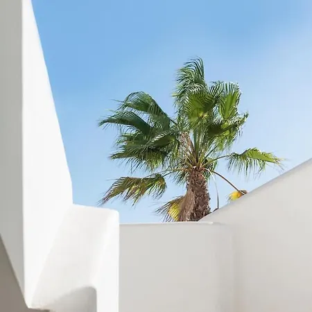 Playa D Embossa Vibra Apartment