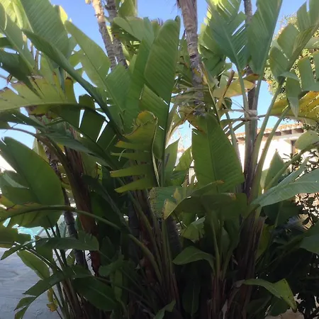 La Finca イビサ・タウン