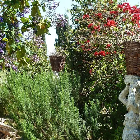 Can Burgos Villa *