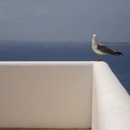 Marblau Guest house