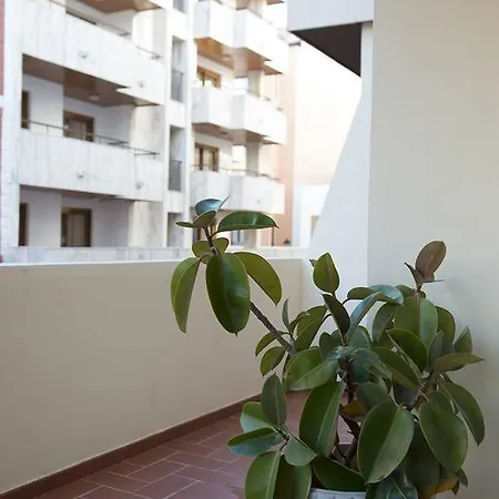 Ripoll Ibiza * Ibiza città