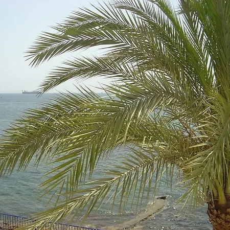 Llevant