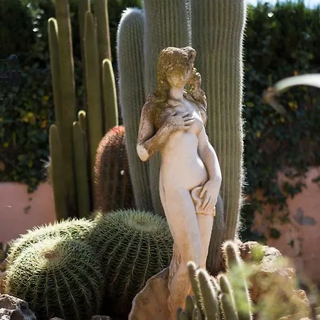 Villa Palmera