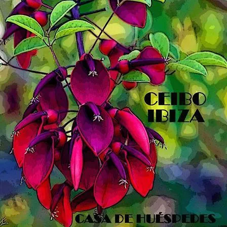 Ceibo Ibiza - Ostello *