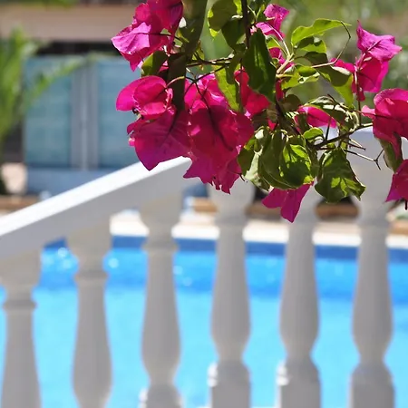 Neptuno Hotel Ibiza Town